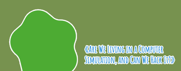 Computer simulator