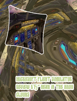 Ms flight sim